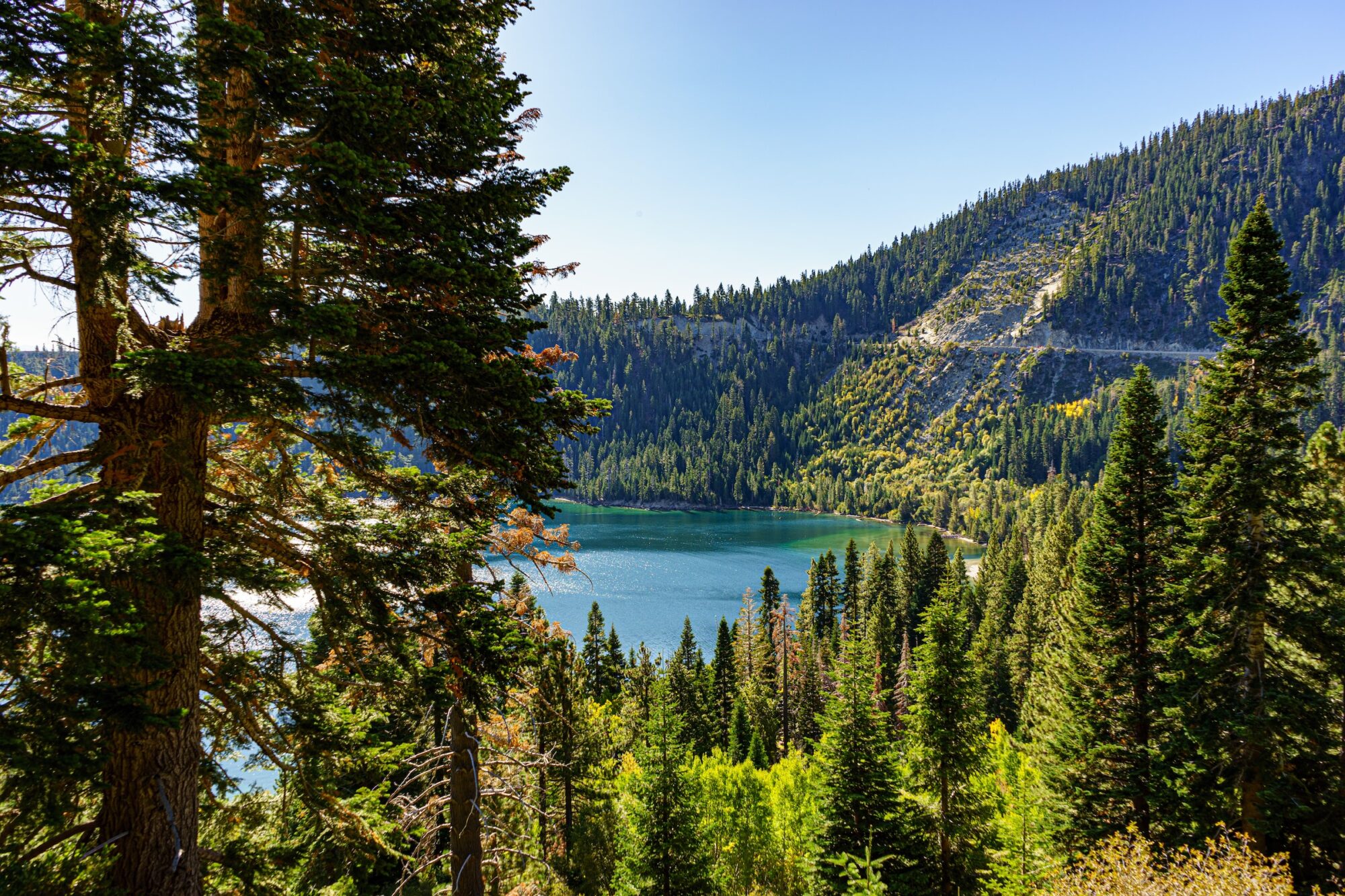 landscape photo of Lake Tahoe mountains, lake, and forests